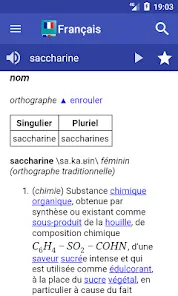 French Dictionary - Offline