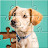 Jigsawscapes - Jigsaw Puzzles