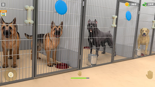 Animal Shelter Pet Rescue Game