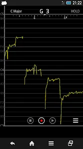 Vocal Pitch Monitor