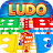 The Ludo Fun Multiplayer Game