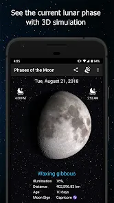 Phases of the Moon