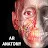 AR Anatomy