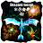 Dragons Online 3D Multiplayer